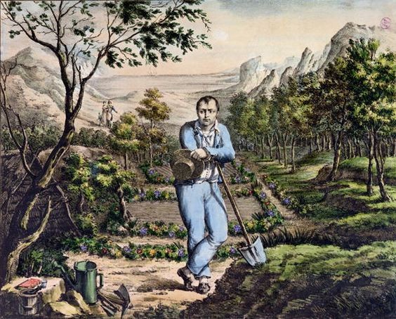 Napoleon in exile on St Helena, gardening